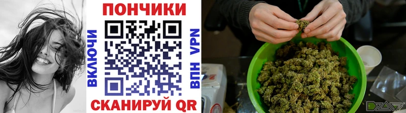 Каннабис индика Гаджиево